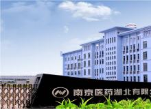 南京醫(yī)藥湖北有限公司